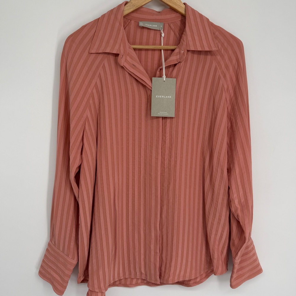 Everlane City Stripe Shirt Pink Tonal Stripe Button Down Raglan Sleeve Rose 10 - Picture 2 of 10